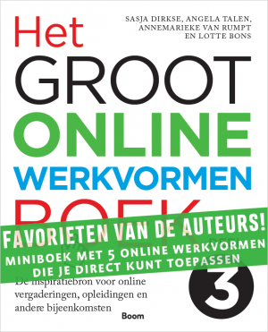 Gratis miniboek Online werkvormen